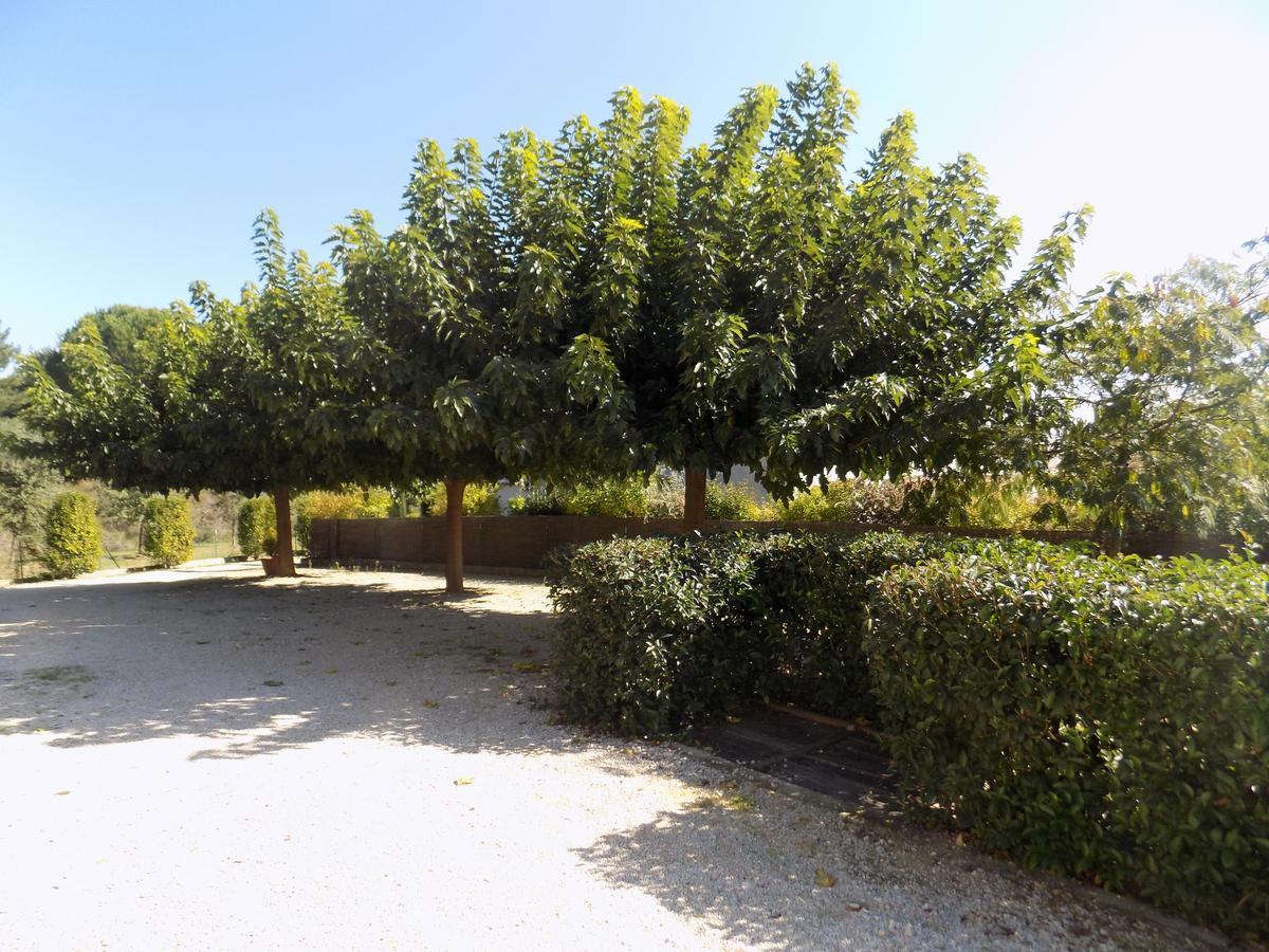 Saint-Martin-dʼArdèche B&B La Vieille Source المظهر الخارجي الصورة